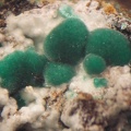 Malachite - Mas Viçens - Fontcouverte -  Caixas - Pyrénées-Orientales 