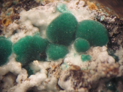 Malachite - Mas Viçens - Fontcouverte -  Caixas - Pyrénées-Orientales 