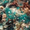 Ramsbeckite - Mas Viçens - Fontcouverte -  Caixas - Pyrénées-Orientales 