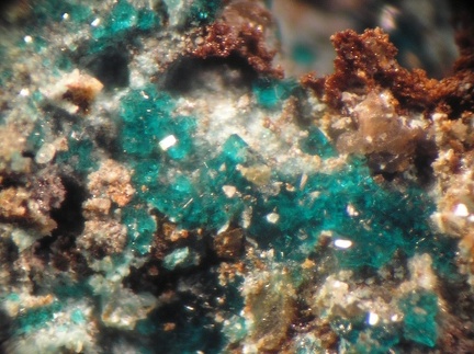 Ramsbeckite - Mas Viçens - Fontcouverte -  Caixas - Pyrénées-Orientales 