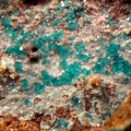 Ramsbeckite - Mas Viçens - Fontcouverte -  Caixas - Pyrénées-Orientales 