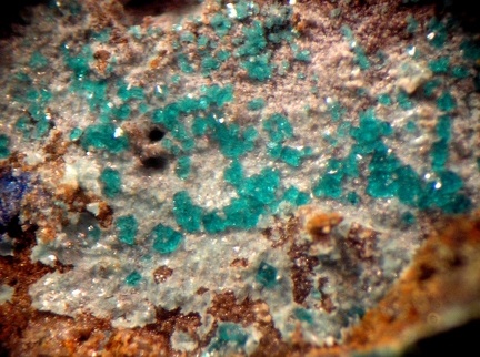 Ramsbeckite - Mas Viçens - Fontcouverte -  Caixas - Pyrénées-Orientales 