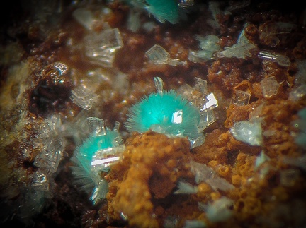 Aurichalcite - Can Pei - Montferrer - Pyrénées-Orientales
