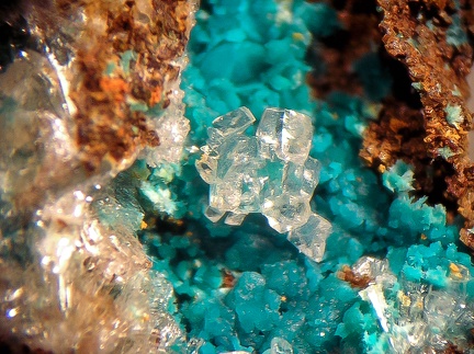 Calcite Rosasite  - Can Pei - Montferrer - Pyrénées-Orientales