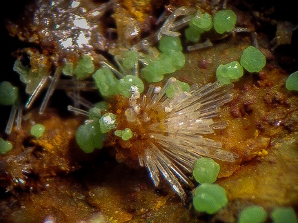 Conichalcite Mimétite - Can Pei - Montferrer - Pyrénées-Orientales