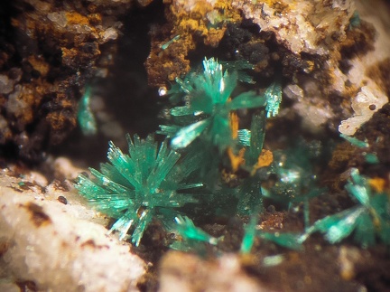 Malachite - Can Pei - Montferrer - Pyrénées-Orientales