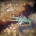 Zalesiite - Can Pei - Montferrer - Pyrénées-Orientales