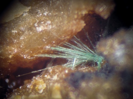 Zalesiite - Can Pei - Montferrer - Pyrénées-Orientales