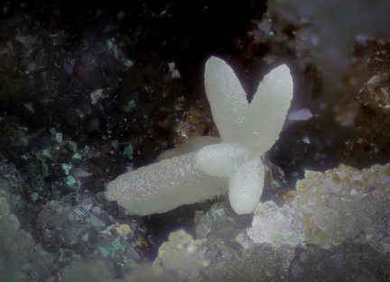 Smithsonite - Falgayrolles - Monteils - Aveyron
