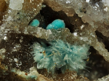 Aurichalcite Rosasite – Mine Couloumier – Auzat – Foix - Ariège