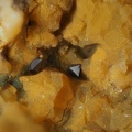 Cuprite – Mine Couloumier – Auzat – Foix - Ariège