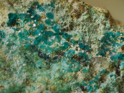 Ramsbeckite – Mine Couloumier – Auzat – Foix - Ariège