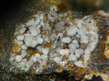 Zincowoodwardite – Mine Couloumier – Auzat – Foix - Ariège
