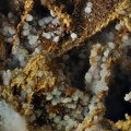 Zincowoodwardite – Mine Couloumier – Auzat – Foix - Ariège