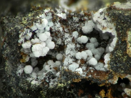 Zincowoodwardite – Mine Couloumier – Auzat – Foix - Ariège