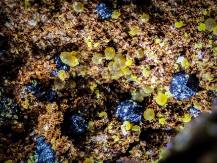 Cacoxenite Rockbridgeite - Fumade - Castelnau de Brassac - Fontrieu - Castres - Tarn