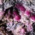  Erythrite  - les Challanches (mine) - Allemont - Isère