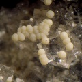 Montmorillonite Chabazite -  Espira de l'Agly - Pyrénées-Orientales