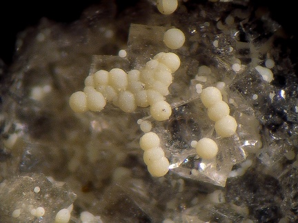 Montmorillonite Chabazite -  Espira de l'Agly - Pyrénées-Orientales