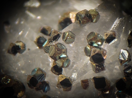 Pyrite -  Espira de l'Agly - Pyrénées-Orientales