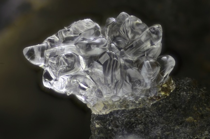Opale (var. hyalite) - Chapelle Sainte-Madeleine - Massiac - Cantal 