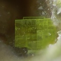 Autunite - Montebras (Carrière) - Soumans - Creuse