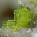 Autunite - Montebras (Carrière) - Soumans - Creuse
