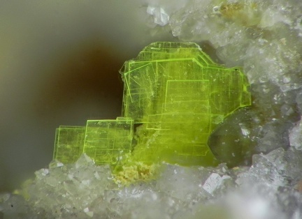 Autunite - Montebras (Carrière) - Soumans - Creuse