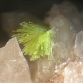 Autunite - Montebras (Carrière) - Soumans - Creuse