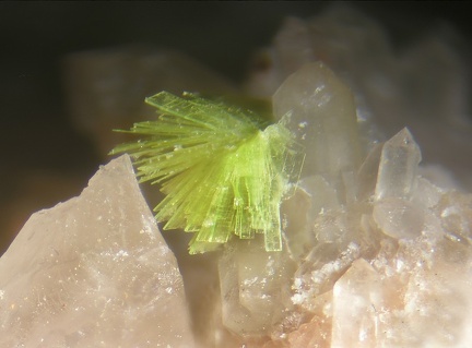 Autunite - Montebras (Carrière) - Soumans - Creuse
