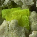 Autunite - Montebras (Carrière) - Soumans - Creuse