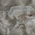 Fluorapatite - Montebras (Carrière) - Soumans - Creuse 