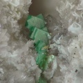 Torbernite - Montebras (Carrière) - Soumans - Creuse