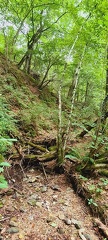 Ancienne mine d'antimoine