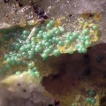 Bayldonite - Le Tistoulet - Padern - Aude