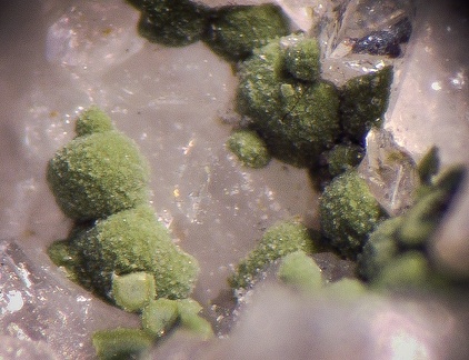 Cuproroméite - Le Tistoulet - Padern - Aude