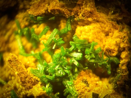 Malachite - Le Tistoulet - Padern - Aude
