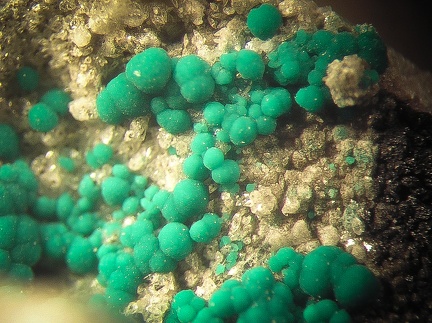 Malachite - Le Tistoulet - Padern - Aude