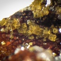 Pharmacosiderite - Le Tistoulet - Padern - Aude