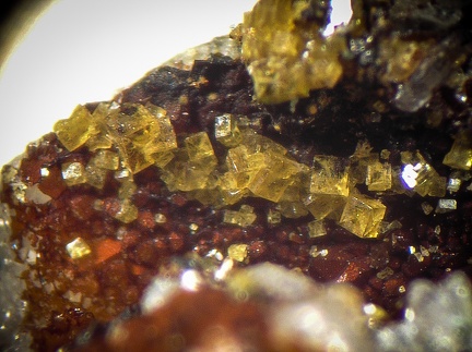 Pharmacosiderite - Le Tistoulet - Padern - Aude
