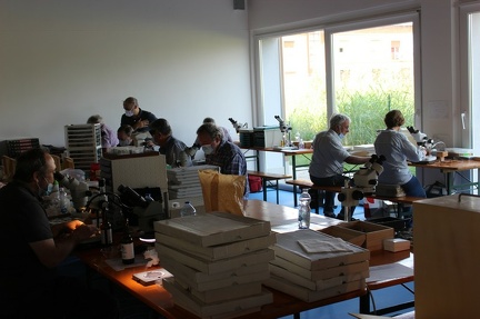 9a GIORNATA  INTERNAZIONALE SCAMBIO MICROMOUNTS à Bergame