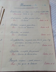 Ancienne collection de minéraux (fin XIX ième)