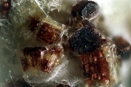 n°143109 - Roedderite - Bizac (carrière) - Le Brignon - Haute-Loire
