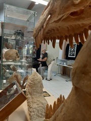  Docteur Daniel COHEN préparant l'expo