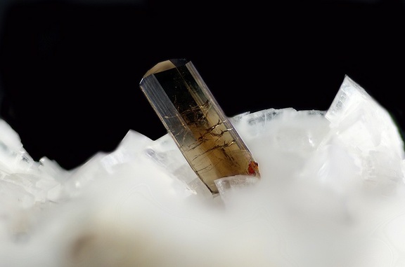  Allanite-(Ce) - Trimouns - Luzenac - Ariège