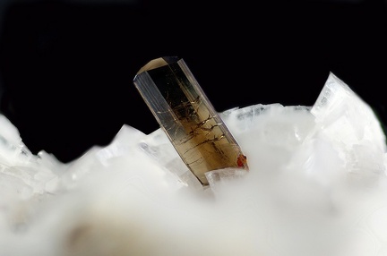  Allanite-(Ce) - Trimouns - Luzenac - Ariège