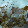  Iimoriite-(Y) Allanite-(Ce) - Trimouns - Luzenac - Ariège