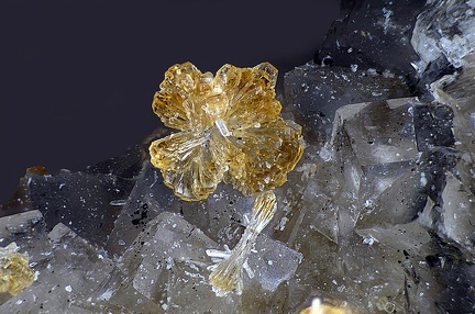  Hémimorphite Fluorite - Carrière de Birrity - Arbouet-Sussaute - Pyrénées-Atlantiques