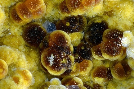 Cacoxenite Barite - Carrière de Birrity - Arbouet-Sussaute - Pyrénées-Atlantiques