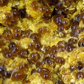 Cacoxenite - Carrière de Birrity - Arbouet-Sussaute - Pyrénées-Atlantiques